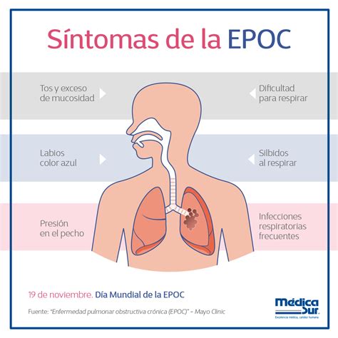 Pin en Atlas de anatomía