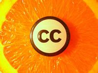 Creative Commons license Tutorial 的图像结果