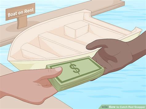 Image result for How to Catch Red Snapper