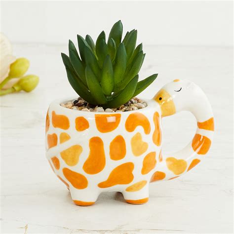 Garnet Elsa Artificial Succulent in Giraffe Planter | Home Centre ...