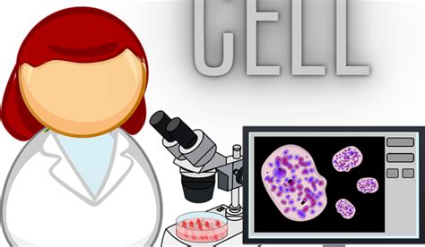 Image result for Class 9th Biology Chapter Cell Explain