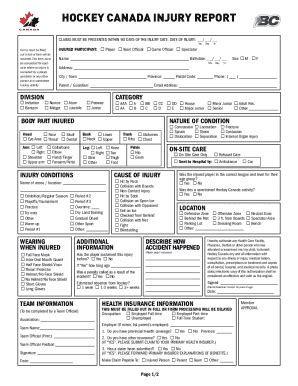 Canada BC Hokey Injury Report 2019-2026 - Fill and Sign Printable ...