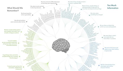 Every Single Cognitive Bias in One Infographic