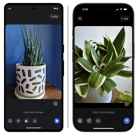 Signal Privacy 的图像结果