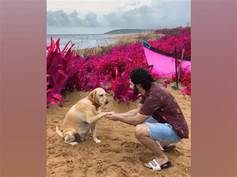 Varun Dhawan treats fans to adorable boomerang with furry friend - BW ...