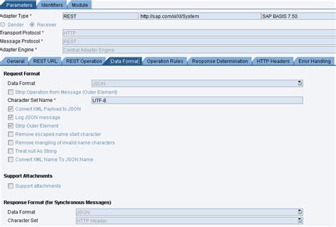 Image result for SAP PI API