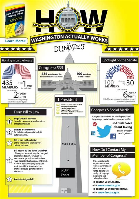The Governance Structure of the American 的图像结果