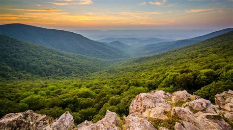 Image result for Patsy Cline Life Story