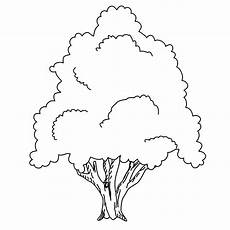 malvorlagen umwelt zum ausdrucken ausmalbilder baum kostenlos malvorlagen zum ausdrucken malvorlagen umwelt zum ausdrucken ausmalbilder baum kostenlos malvorlagen zum ausdrucken