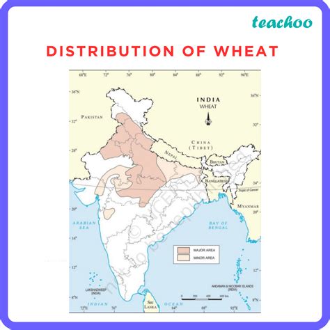 [Agriculture Class 10] Major Crops - with Producers - Teachoo