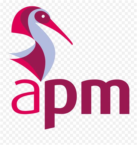 Image result for APM Project Management Fundamentals Logo