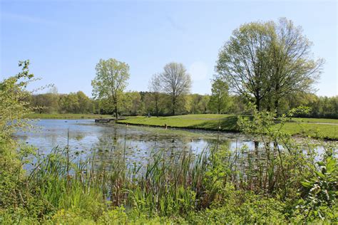 Tranquil Pond Scene in Canal Winchester, Ohio · Free Stock Photo
