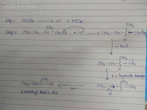 [FREE] 2-methylbutan-1-ol is heated with an excess of concentrated ...
