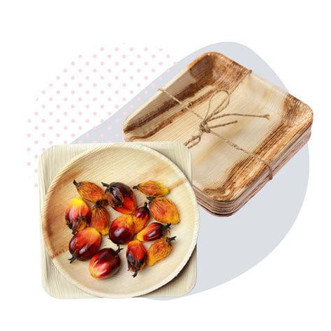 Eco Friendly Areca Palm Leaf Plates & Bowls | Bamboo Plates Disposable