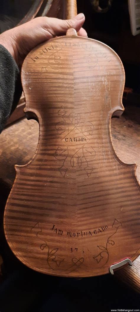 Image result for Fiddle Restoration