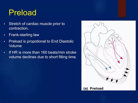 ANATOMY AND PHYSIOLOGY OF THE HEART | PPTX