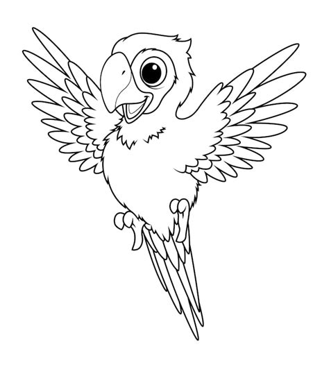 Papagei zeichnung Bilder - Kostenloser Download auf Freepik