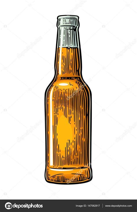 31+ Free Fresh Beer With Bottle Vector
