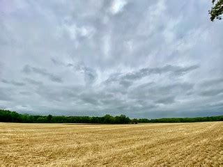 Handbag Code Roblox 的图像结果