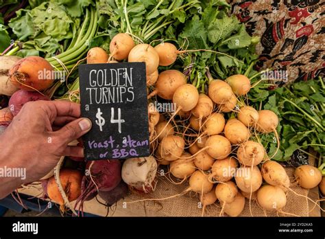 Image result for Please Hand Written Sign