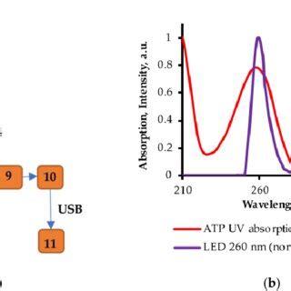 Image result for Sensor How It Work