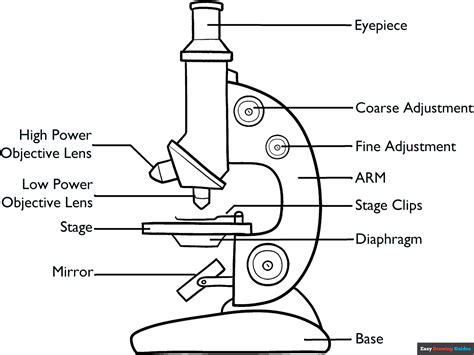 Microscope Diagram Coloring Page | Easy Drawing Guides