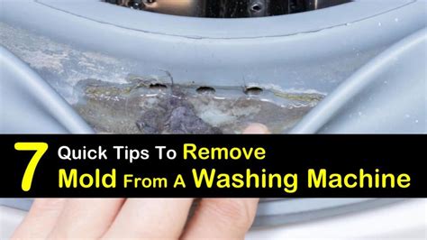 Image result for How Do You Remove Mold and Mildew From Front Loading Washing Machine