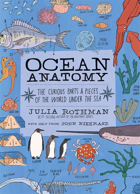 10 Best Marine Biology Books for Fascinating Ocean Insights – ICO Optics