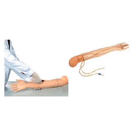 Image result for IV Training Arm Model