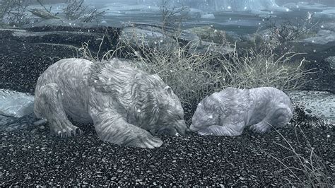 Meet the people modding Skyrim to improve Tamriel's wildlife