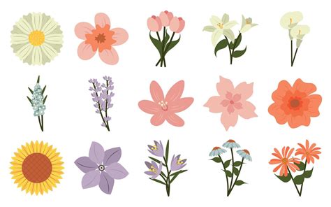 Simple Flowers Illustration Pack 53976168 Vector Art at Vecteezy