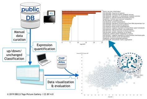 Meta-Analysis of Hypoxic Transcriptomes from Public Databases