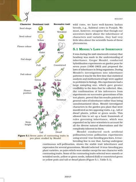 Principles Of Inheritance And Variation - NCERT Book of Class 12 Biology
