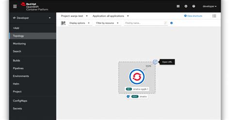 Image result for Code Ready Containers