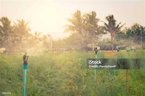 Image result for How to Make Splash Game Intro Using Farmer