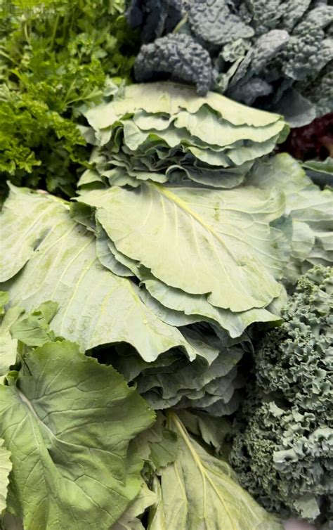 Source Local Farmers 的图像结果