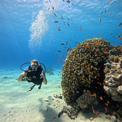 HAPPY DIVERS EILAT (2026) All You Need to Know BEFORE You Go (with ...