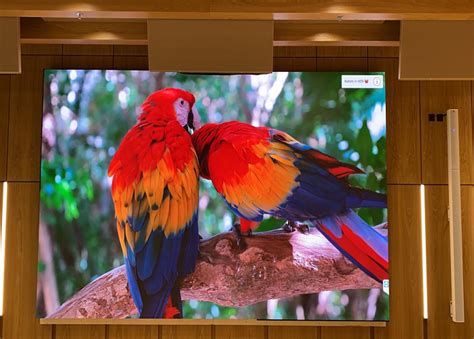 Image result for LED Display