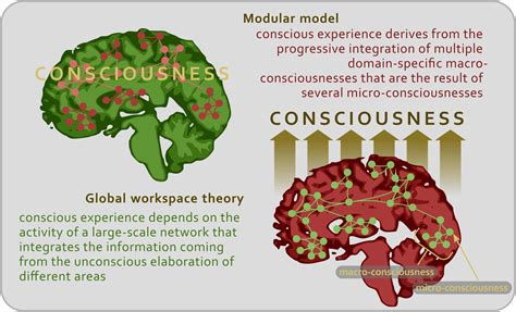 Consciousness And Cognition Hello Connections..... Cognitive Science