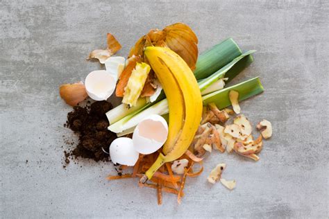 Food Waste 的图像结果