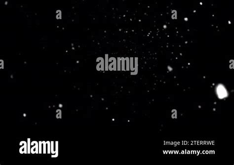 Image result for Snowflakes Falling Loop