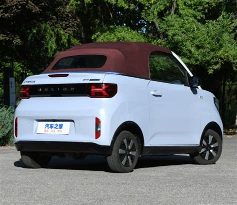 Image result for Wuling Mini EV Capybara