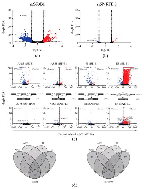 Silencing Core Spliceosome Sm Gene Expression Induces a Cytotoxic ...
