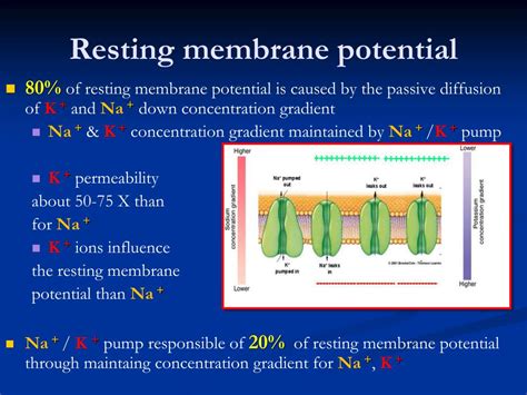 Image result for Resting potential Definition