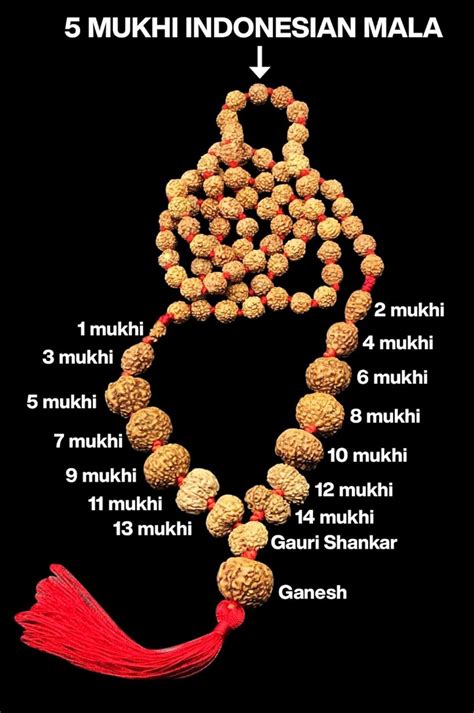 Vishaka Arts Siddha Mala 1-14 Mukhi, Gauri Shankar, Ganesh India | Ubuy