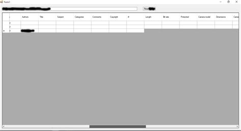 DataGrid VB.NET 的图像结果