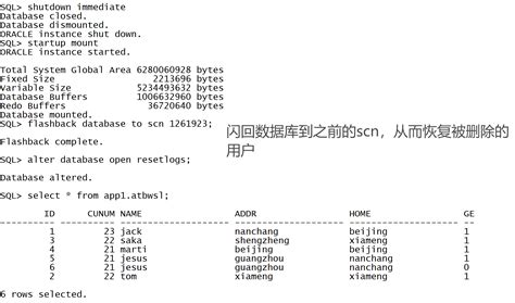 Check When Database Was Flash Back 的图像结果