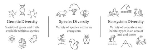Biodiversity and Conservation Chapter Notes - Biology Class 12 - NEET ...