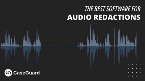 Image result for Audio Redaction API