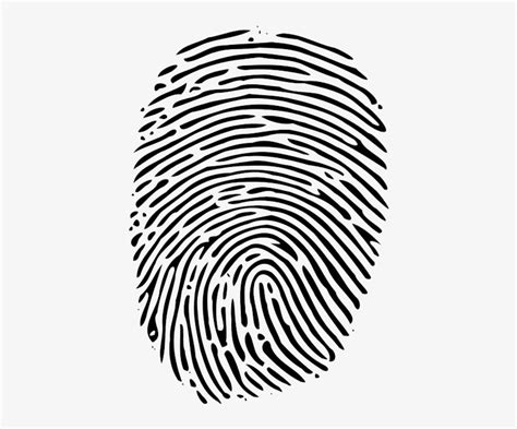 Fingerprint - Fingerprints Clip Art Transparent PNG - 600x600 - Free ...